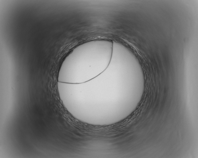 X0000116391447200912020956