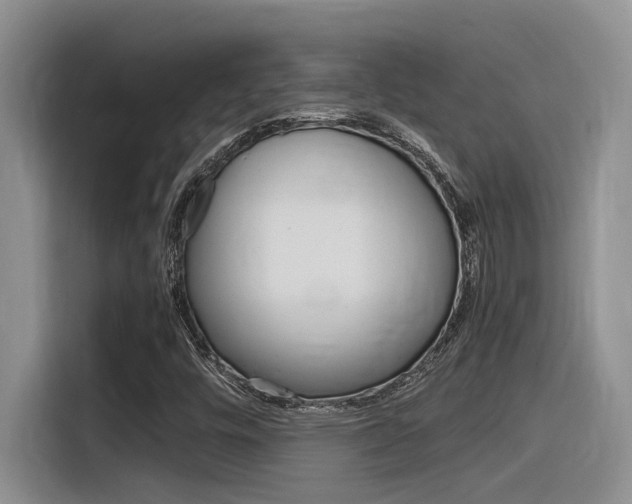 X0000116391448200912020956