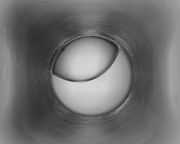 X0000116391449200912020956