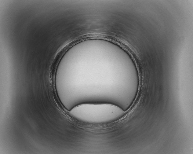 X0000116391450200912020956