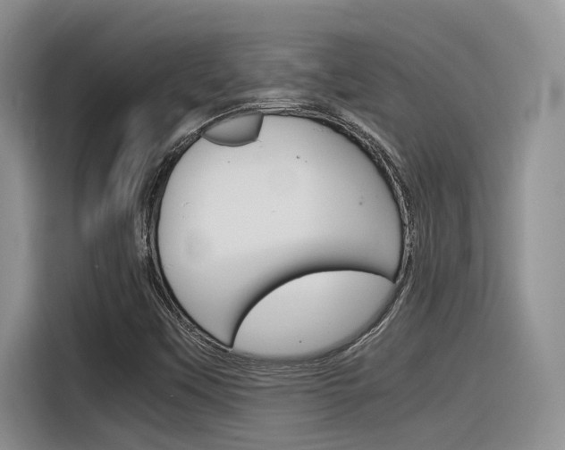 X0000116391451200912020956