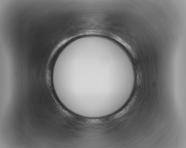 X0000116391454200912020956