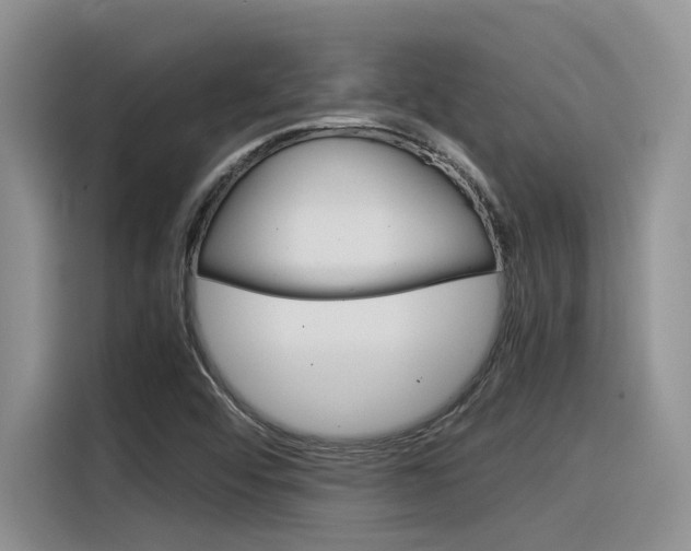 X0000116391456200912020956