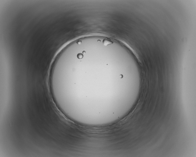 X0000116391460200912020956