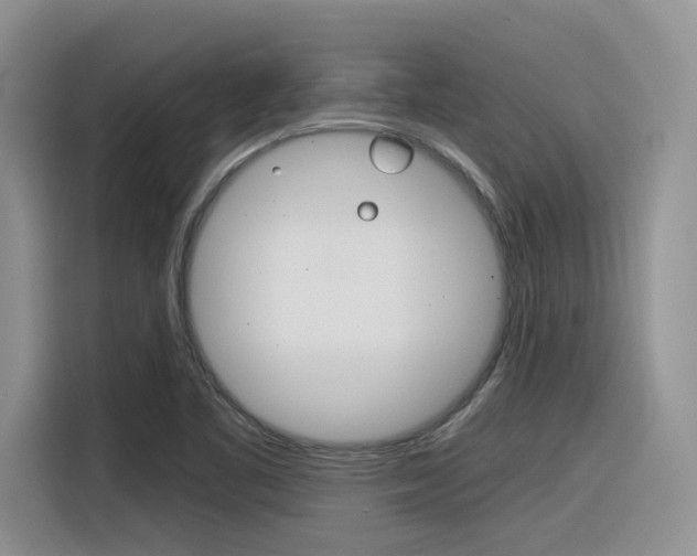 X0000116391461200912020956