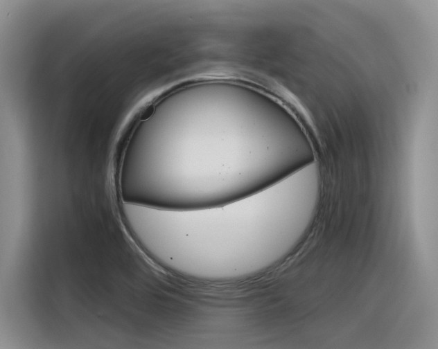 X0000116391464200912020956