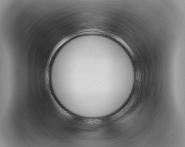 X0000116391466200912020956