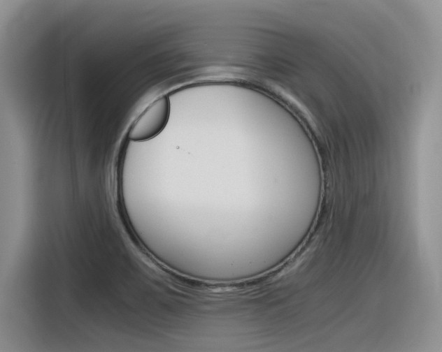 X0000116391467200912020956