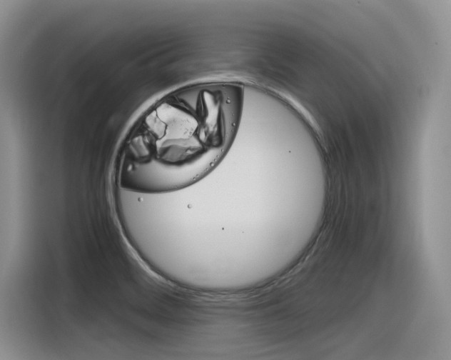 X0000116391468200912020956