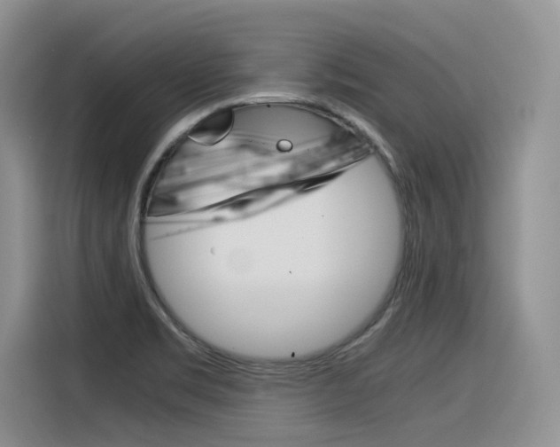 X0000116391469200912020956