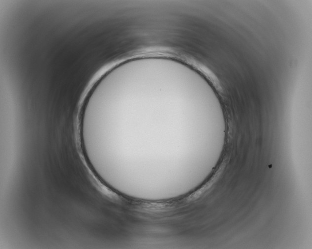 X0000116391470200912020956
