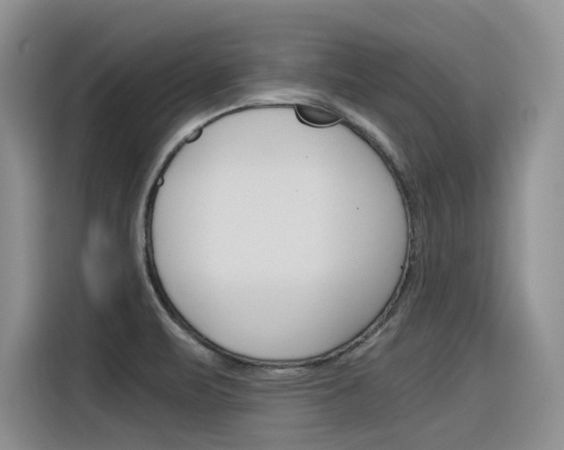 X0000116391471200912020956