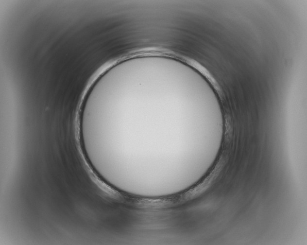 X0000116391474200912020956