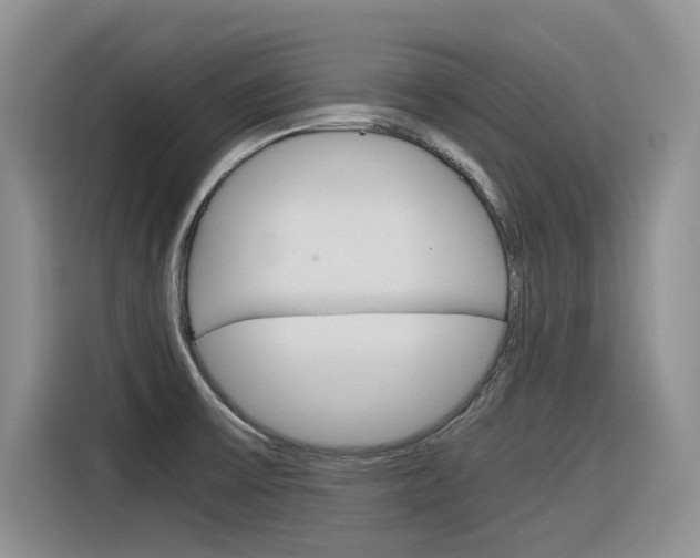X0000116391475200912020956