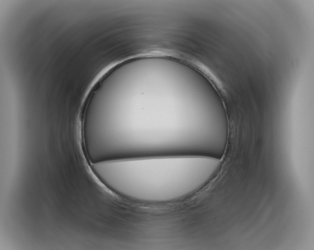 X0000116391476200912020956