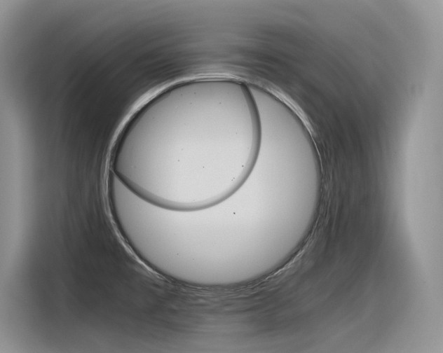 X0000116391477200912020956