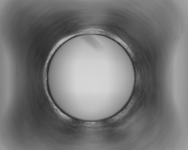 X0000116391478200912020956