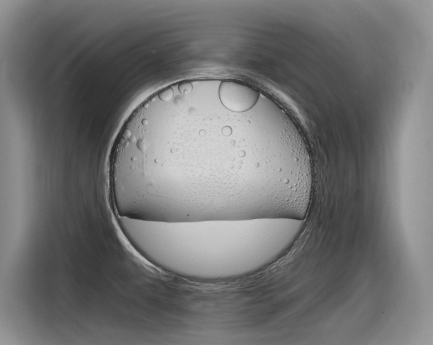 X0000116391479200912020956