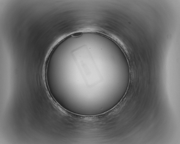 X0000116391480200912020956