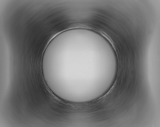 X0000116391481200912020956