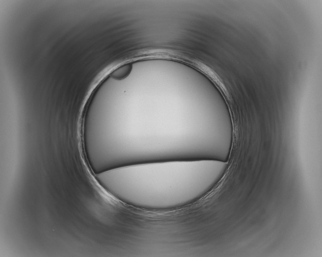 X0000116391482200912020956