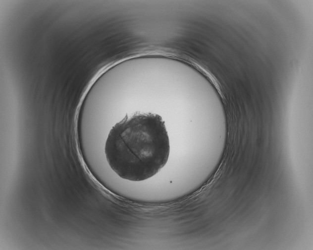 X0000116391483200912020956