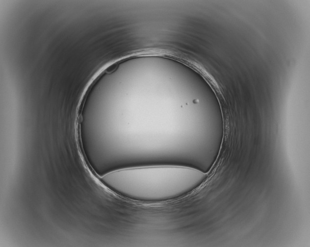 X0000116391484200912020956
