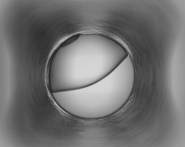 X0000116391485200912020956