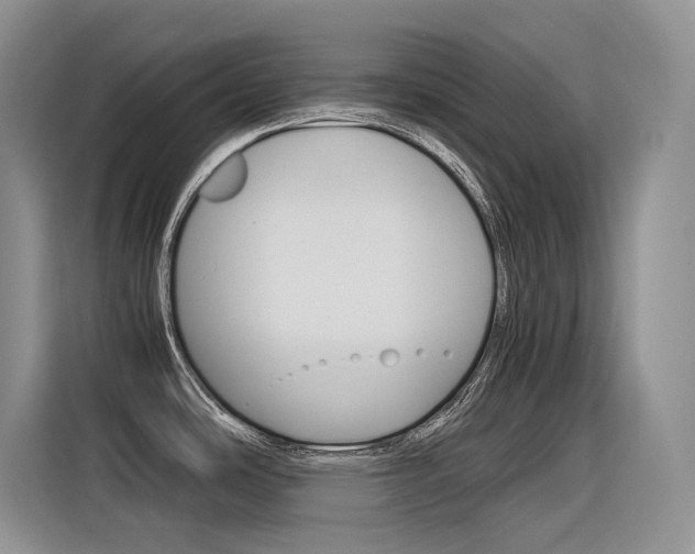 X0000116391486200912020956