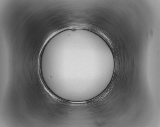 X0000116391487200912020956