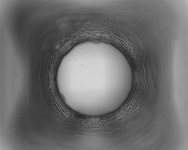 X0000116391489200912020955