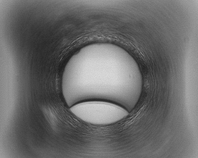 X0000116391490200912020955