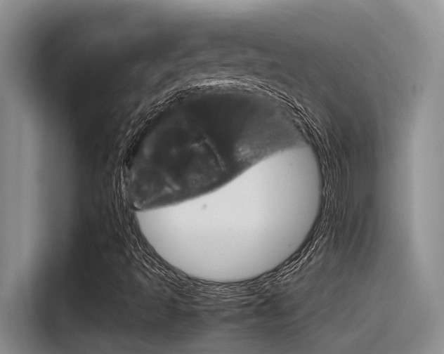 X0000116391493200912020955