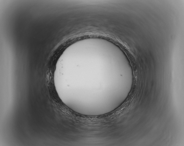 X0000116391495200912020955
