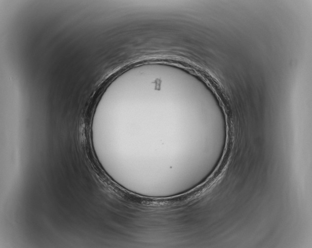 X0000116391497200912020955