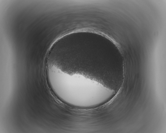 X0000116391498200912020955