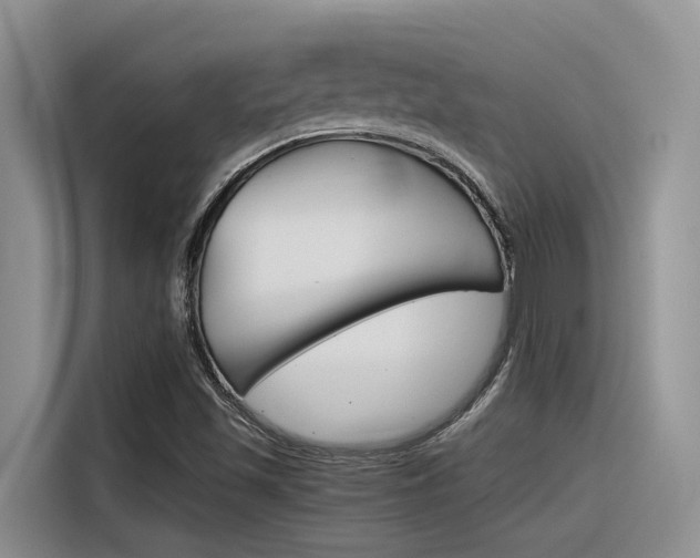 X0000116391501200912020955