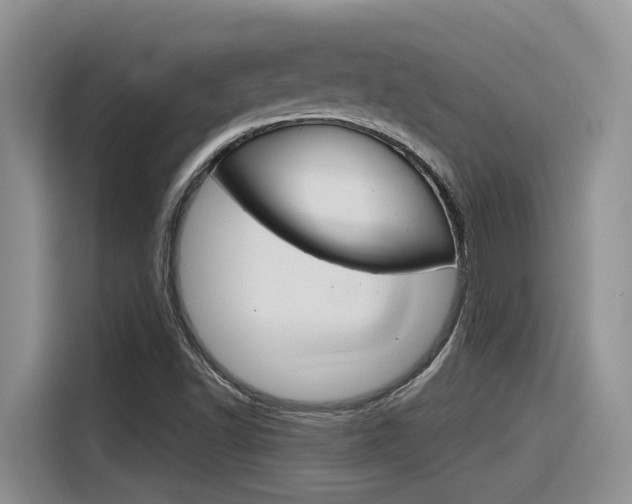 X0000116391502200912020955