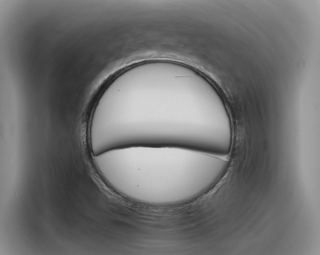X0000116391503200912020955
