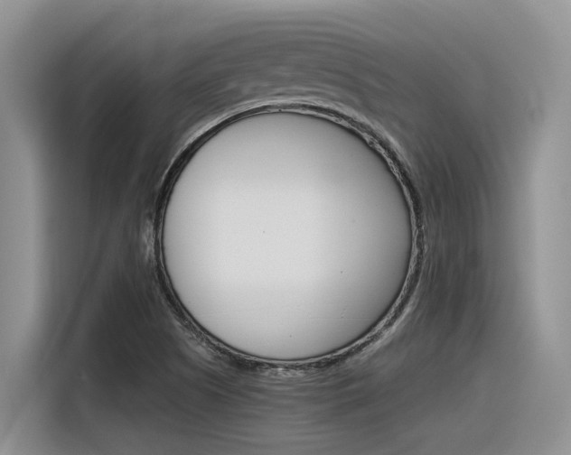 X0000116391505200912020955