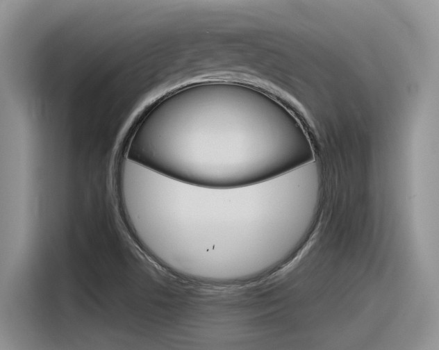 X0000116391506200912020955