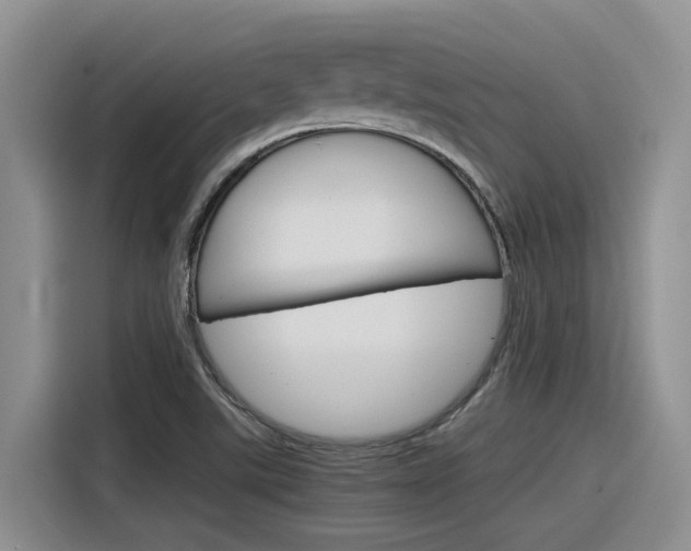 X0000116391507200912020955