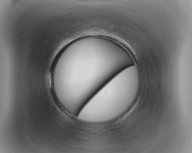 X0000116391509200912020955