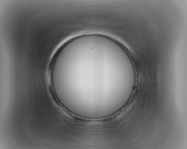X0000116391510200912020955