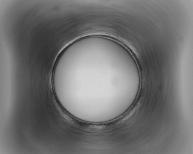 X0000116391513200912020955