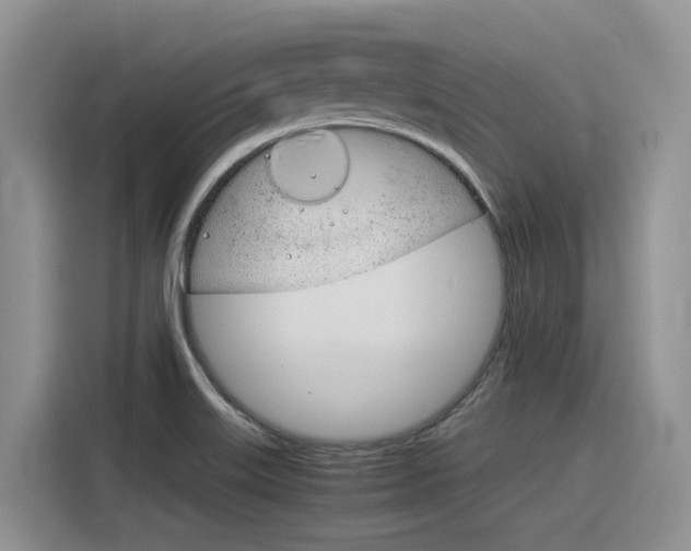 X0000116391515200912020955