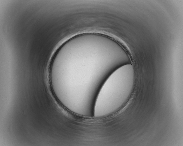 X0000116391517200912020955