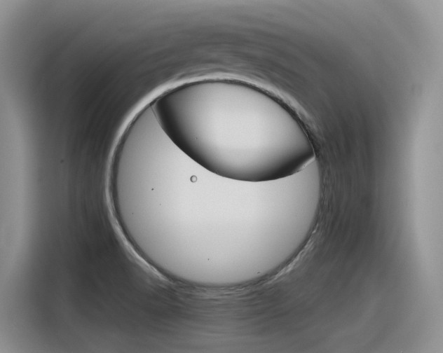X0000116391518200912020955