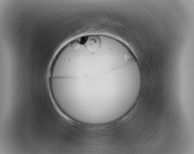 X0000116391519200912020955