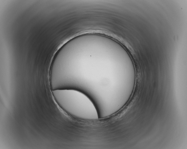 X0000116391521200912020955